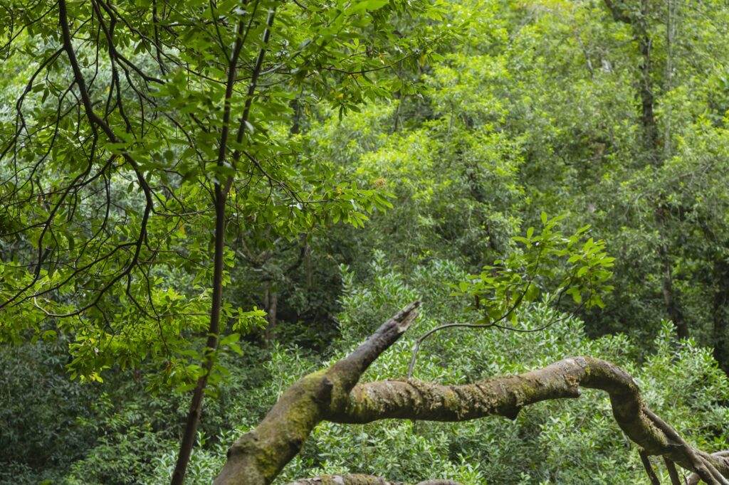 Visitar la Ruta de Marcos y Cordero con Niños: Guía Completa y Consejos Prácticos