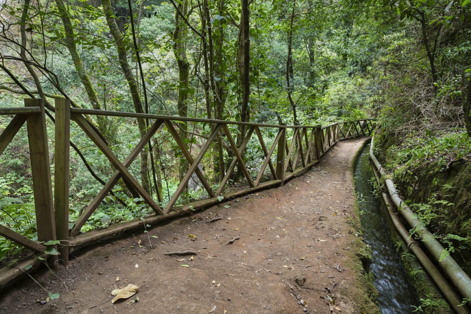 Los Tilos Rain Forest Water Canal, La Palma